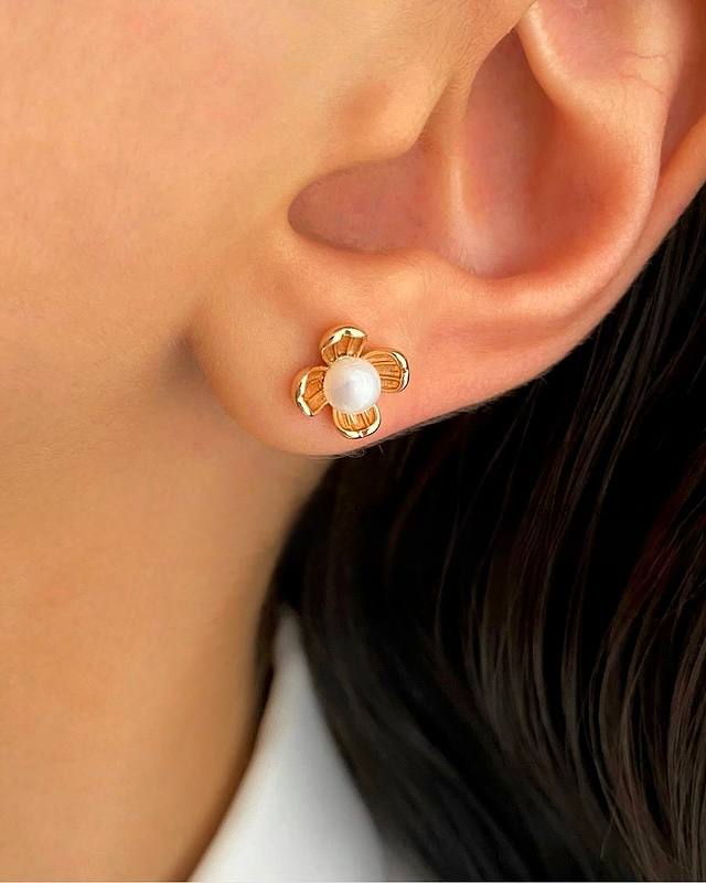 گل چهار پر مینیاتوری - تصویر 2